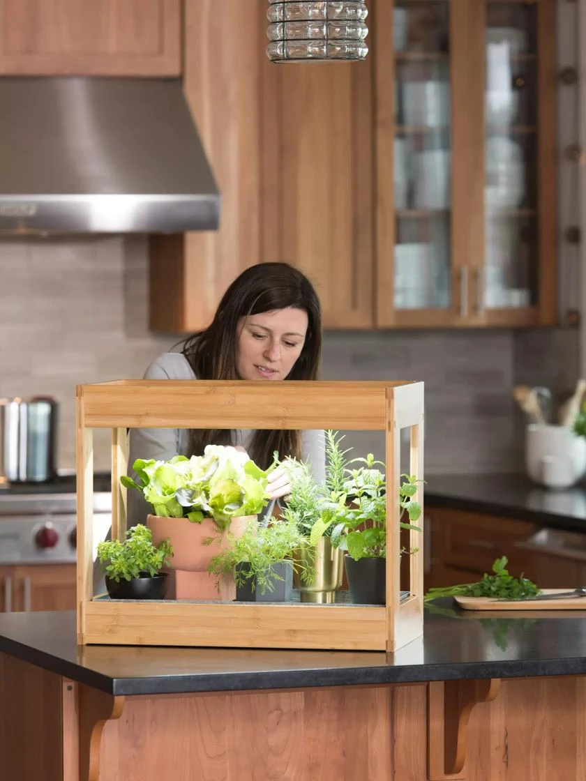 Bamboo Mini LED Grow Light Garden 6 Bamboo Mini LED Grow Light Garden - Image 4