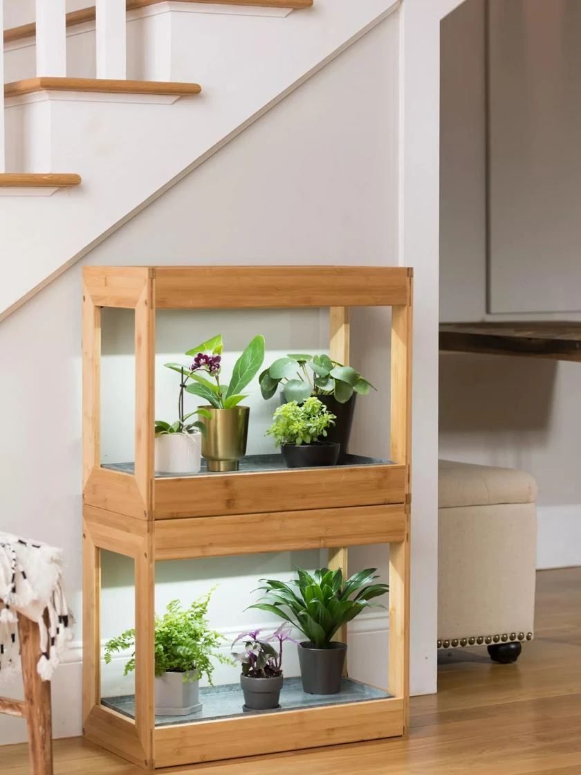 Bamboo Mini LED Grow Light Garden 8 Bamboo Mini LED Grow Light Garden - Image 6