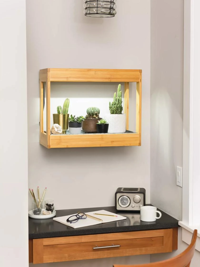 Bamboo Mini LED Grow Light Garden 5 Bamboo Mini LED Grow Light Garden - Image 3