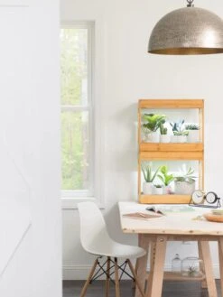 Bamboo Mini LED Grow Light Garden 16 Bamboo Mini LED Grow Light Garden -Flowers Plants Shop 8599624 13244 tif