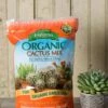 Espoma Cactus Potting Mix, 4 Quart 1 Espoma Cactus Potting Mix, 4 Quart -Flowers Plants Shop 8599789 18448 tif