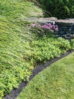 Recycled Rubber Mulch Edging, 12’ X 6” -Flowers Plants Shop 8599854 0897 tif