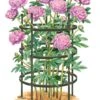 Titan Peony Supports, Large, Set Of 2 1 Titan Peony Supports, Large, Set Of 2 -Flowers Plants Shop 8599857 0001 art tif