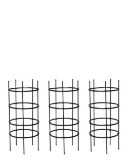 Titan Tomato Cages, Set Of 3 -Flowers Plants Shop 8599861 18713 tif