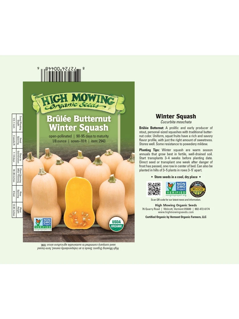 Brulee Butternut Squash Organic Seeds 4 Brulee Butternut Squash Organic Seeds - Image 2