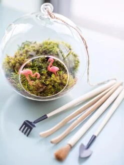 Terrarium Tools, Set Of 4 7 Terrarium Tools, Set Of 4 -Flowers Plants Shop 8599884 01V tif