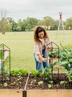 Zenith Folding Garden Supports, Set Of 2 17 Zenith Folding Garden Supports, Set Of 2 -Flowers Plants Shop 8600073 324 tif