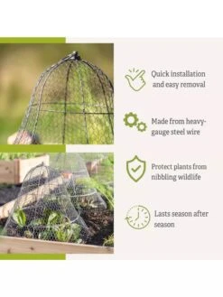 Chicken Wire Cloche With Extension -Flowers Plants Shop 8600116 3