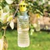 Bottle Insect Traps, Set Of 6 1 Bottle Insect Traps, Set Of 6 -Flowers Plants Shop 8600119 0532 tif