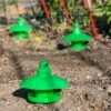Slug And Snail Traps, Set Of 3 -Flowers Plants Shop 8600120 1784 slug and snail traps set of 3