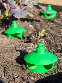 Slug And Snail Traps, Set Of 3 -Flowers Plants Shop 8600120 1788