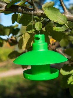 Slug And Snail Traps, Set Of 3 -Flowers Plants Shop 8600120 1792