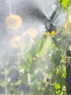 Landscape 4-Way Cooling Mist Kit, 50' 12 Landscape 4-Way Cooling Mist Kit, 50' -Flowers Plants Shop 8600154 0695 tif