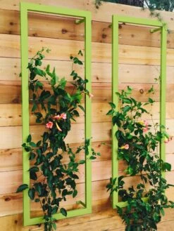Ina Modern Wall Trellis Sr. -Flowers Plants Shop 8600510 01V tif