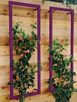 Ina Modern Wall Trellis Sr. -Flowers Plants Shop 8600510 02V tif