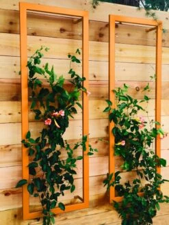 Ina Modern Wall Trellis Sr. -Flowers Plants Shop 8600510 04V tif