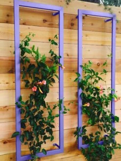 Ina Modern Wall Trellis Sr. -Flowers Plants Shop 8600510 07V tif