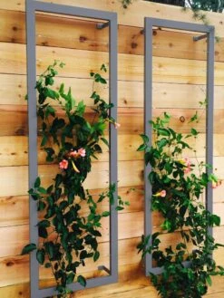 Ina Modern Wall Trellis Sr. -Flowers Plants Shop 8600510 08V jpg
