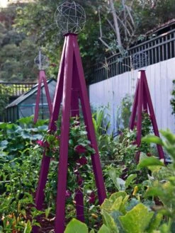 Akoris Garden Tuteur Jr. 15 Akoris Garden Tuteur Jr. -Flowers Plants Shop 8600517 01V akoris garden tuteur tif 1