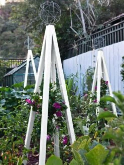 Akoris Garden Tuteur Jr. 17 Akoris Garden Tuteur Jr. -Flowers Plants Shop 8600517 03V tif 1