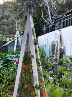 Akoris Garden Tuteur Jr. 14 Akoris Garden Tuteur Jr. -Flowers Plants Shop 8600517 07V tif