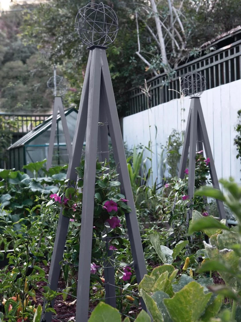 Akoris Garden Tuteur Sr. 4 Akoris Garden Tuteur Sr. - Image 2