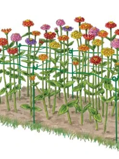 Cut Flower Grid Support, Set Of 2 -Flowers Plants Shop 8600620 0002 art tif