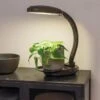 Agrobrite Desktop LED Plant Lamp -Flowers Plants Shop 8608871 0345 tif