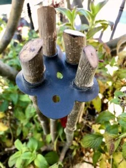 Garden Cane Connects, Set Of 6 -Flowers Plants Shop 8609019 01V tif