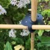 Garden Cane Connects, Set Of 6 -Flowers Plants Shop 8609019 04V tif