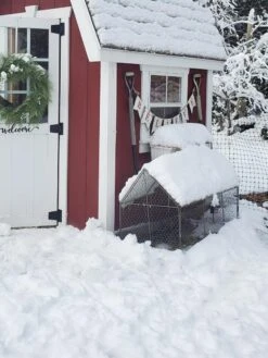 Chicken Wire Crop Coop -Flowers Plants Shop 8609080 03IN tif