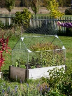 Chicken Wire Crop Coop -Flowers Plants Shop 8609080 4024