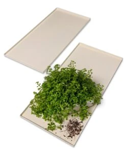 Oslo Grow Light Garden Trays, Set Of 2 7 Oslo Grow Light Garden Trays, Set Of 2 -Flowers Plants Shop 8609187 7686 tif