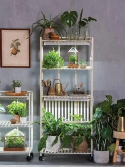 Oslo 4-Tier LED Grow Light Garden -Flowers Plants Shop 8609188 4118 tif