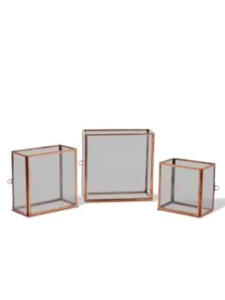 Copper And Glass Terrariums, Set Of 3 -Flowers Plants Shop 8609212 0851 tif