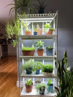 Oslo 4-Tier LED Grow Light Garden -Flowers Plants Shop 8609220 03IN tif