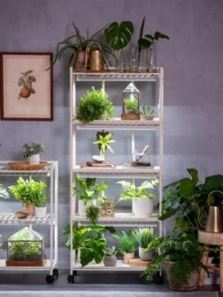 Oslo 4-Tier LED Grow Light Garden -Flowers Plants Shop 8609220 4116 tif