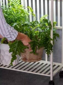 Oslo 2-Tier LED Grow Light Garden, 2 Fixtures -Flowers Plants Shop 8609220 4122 tif