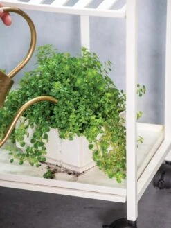 Oslo 2-Tier Plant Stand With Folding Shelves 11 Oslo 2-Tier Plant Stand With Folding Shelves -Flowers Plants Shop 8609220 4137 tif 1