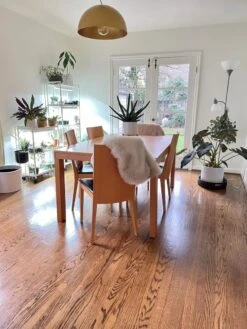 Oslo 2-Tier LED Grow Light Garden, 2 Fixtures -Flowers Plants Shop 8609221 01IN tif