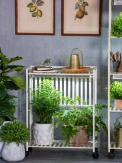 Oslo 2-Tier LED Grow Light Garden, 2 Fixtures -Flowers Plants Shop 8609221 7236 tif