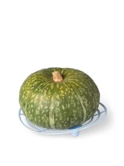 Melon And Squash Cradles, Set Of 6 -Flowers Plants Shop 8609464 5204 tif