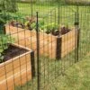 6 Panel Critter Fence With Gate 1 6 Panel Critter Fence With Gate -Flowers Plants Shop 8609844 8458 6 panel critter fence with gate 3 4