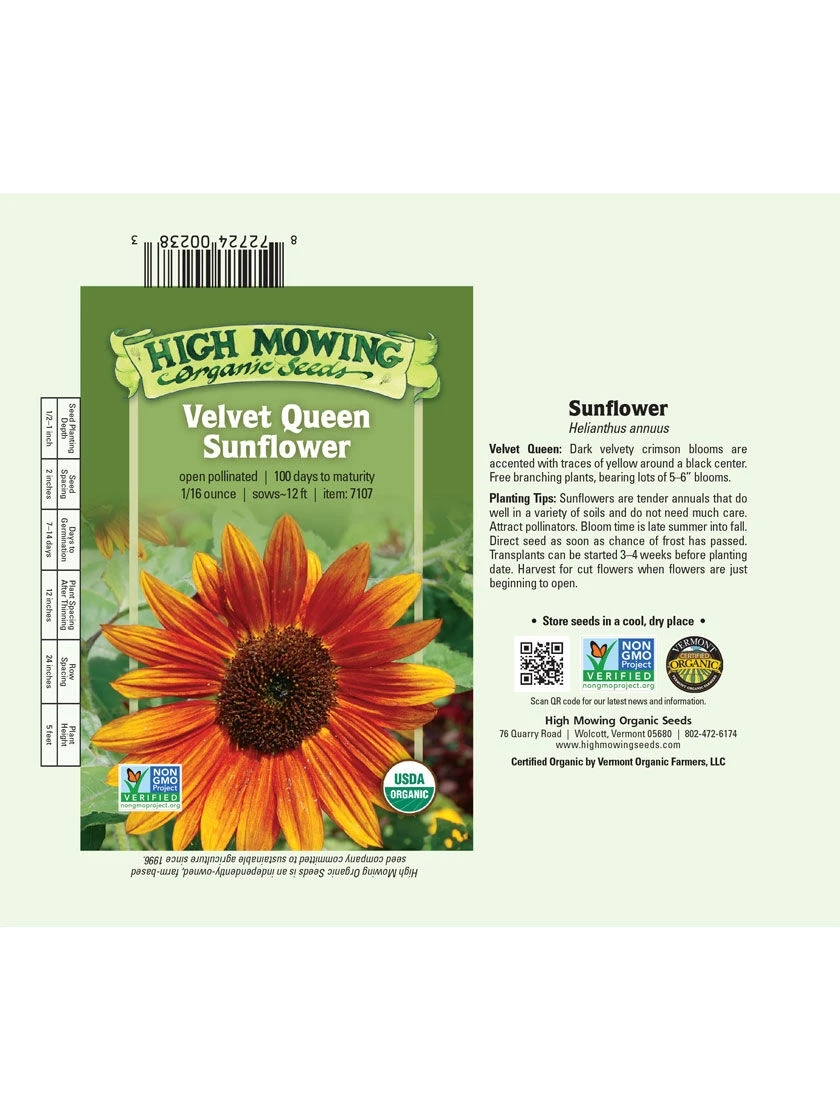 Velvet Queen Sunflower Organic Seeds 5 Velvet Queen Sunflower Organic Seeds - Image 3