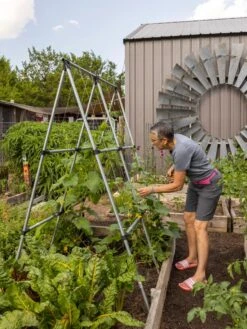 Connector Kit For DIY A Frame Plant Support -Flowers Plants Shop 8610366 7584 tif