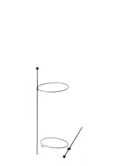 Peacock Mini Plant Support Rings 8", Set Of 2 -Flowers Plants Shop 8610387 9571 tif