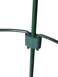 Peacock Mini Plant Support Rings 4", Set Of 2 17 Peacock Mini Plant Support Rings 4", Set Of 2 -Flowers Plants Shop 8610387 9577