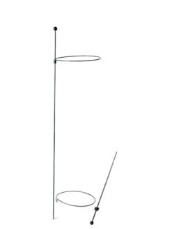 Peacock Mini Plant Support Rings 8", Set Of 2 -Flowers Plants Shop 8610388 9565 tif