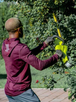 Sun Joe 24V-HT22-LTE 24-Volt ION+ Cordless Hedge Trimmer Kit | 22-Inch | W/ 2.0-Ah Battery And Charger 18 Sun Joe 24V-HT22-LTE 24-Volt ION+ Cordless Hedge Trimmer Kit | 22-Inch | W/ 2.0-Ah Battery And Charger -Flowers Plants Shop 8610657 07v