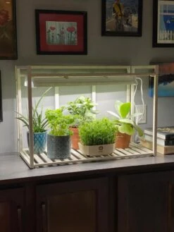 Oslo 1-Tier LED Grow Light Garden -Flowers Plants Shop 8611002 01IN tif